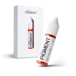the pigment –10 Terracotta pmu prodaktattoosupply3